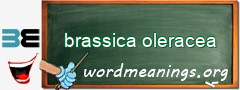 WordMeaning blackboard for brassica oleracea